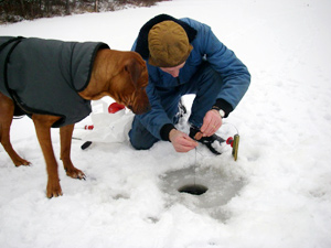 Fiskehund Fiskehund