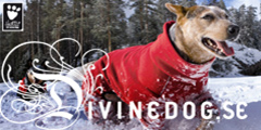 www.divinedog.se