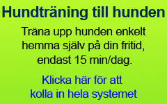 www.fyrbent.se