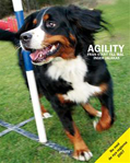 Bild på Boken Agility - från start till mål