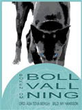 Boken Bollvallning