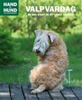 Bild på Valpvardag - En bra start på ett långt hundliv