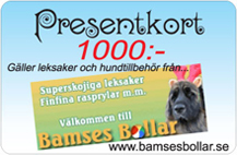 Presentkort_bamse_217.jpg