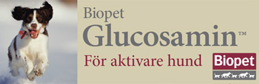 Glucosamin