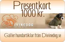 presentkort_divinedog.jpg