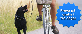 Prova på i tre dagar och ta första steget till ett aktivare liv tillsammans med din hund!
