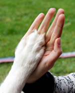 Cirkuskonster och huvudgympa Cirkuskonster och huvudgympa